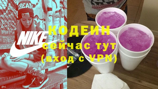 эйфоретик Ельня