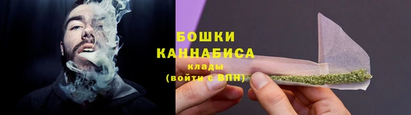 ГАЛЛЮЦИНОГЕННЫЕ ГРИБЫ Кулебаки