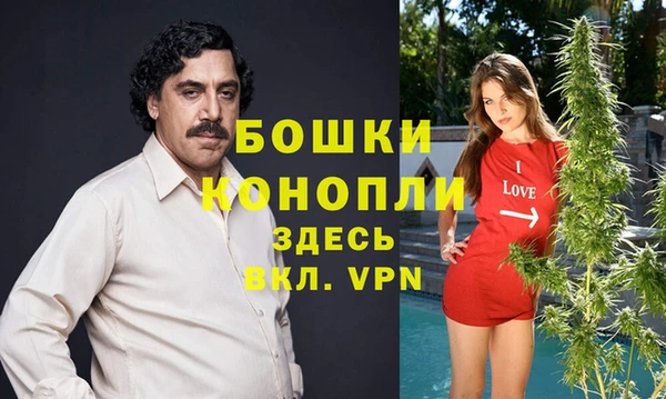 ГАЛЛЮЦИНОГЕННЫЕ ГРИБЫ Кулебаки