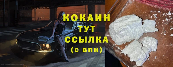 ГАЛЛЮЦИНОГЕННЫЕ ГРИБЫ Кулебаки