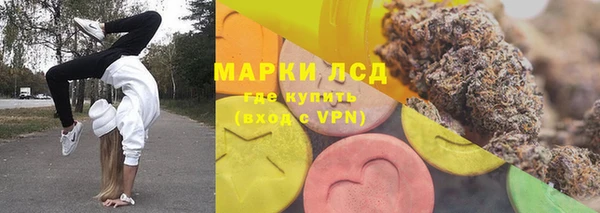ГАЛЛЮЦИНОГЕННЫЕ ГРИБЫ Кулебаки