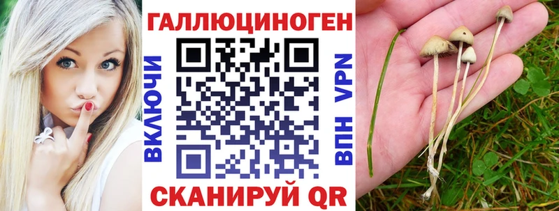 сколько стоит  Игра  ОМГ ОМГ сайт  Галлюциногенные грибы прущие грибы 
